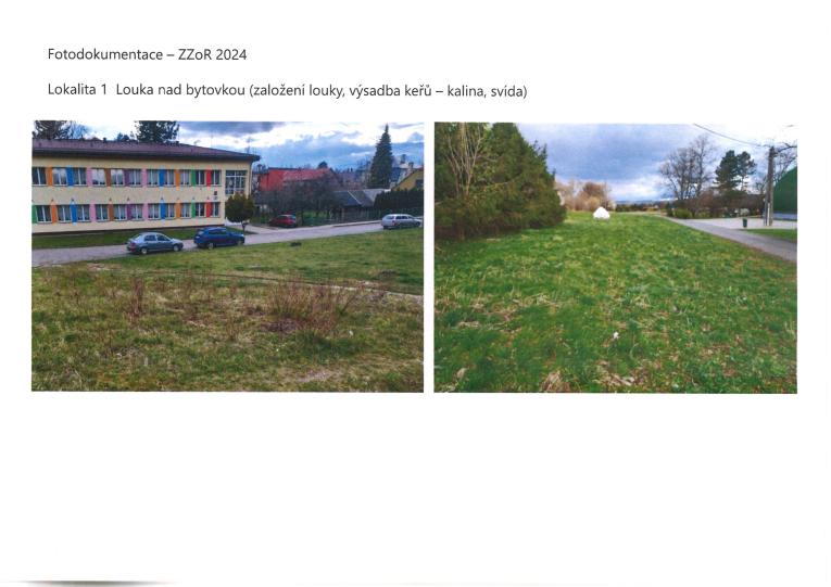 Lokalita 1: Louka nad&nbsp;bytovkou