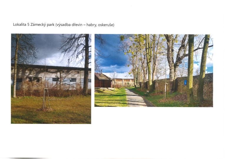 Lokalita 5: Zámecký park